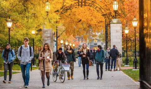 Students walking through campus underneath autumn trees