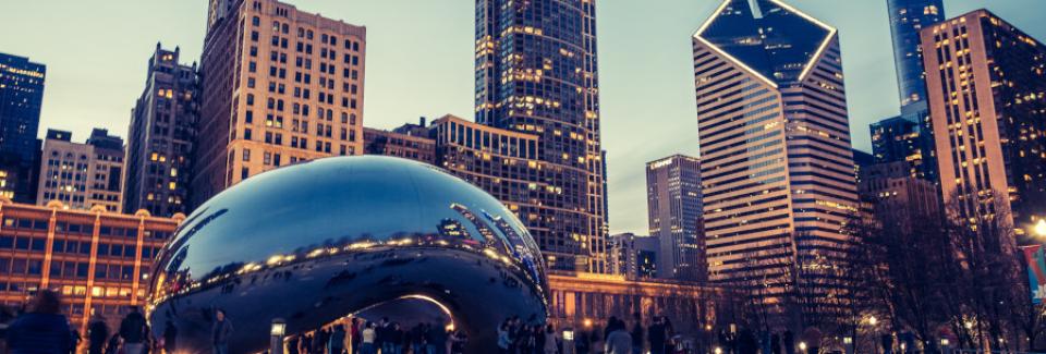 the bean