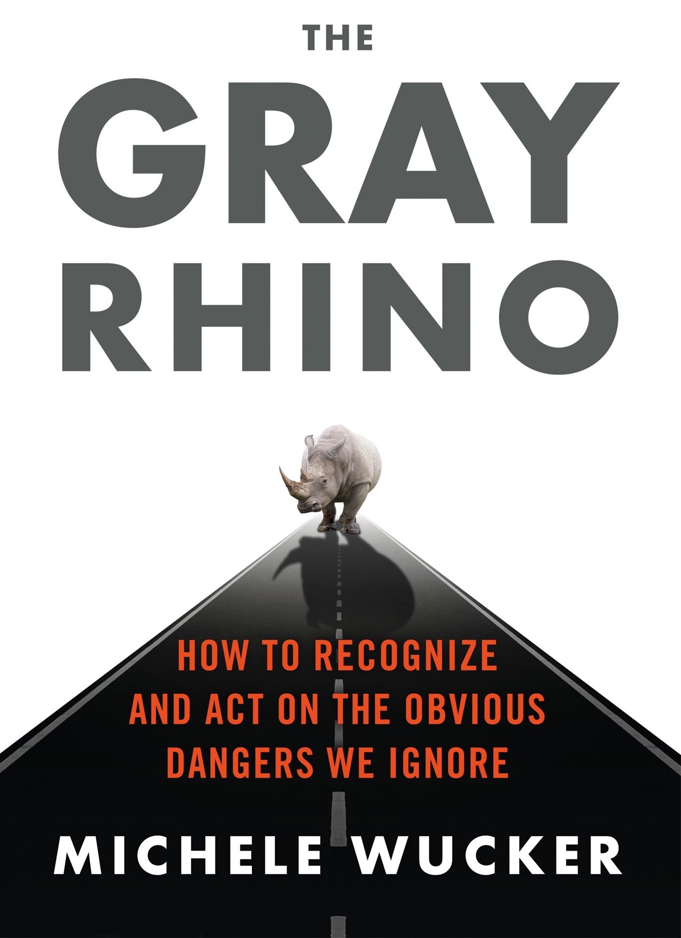 The Gray Rhino