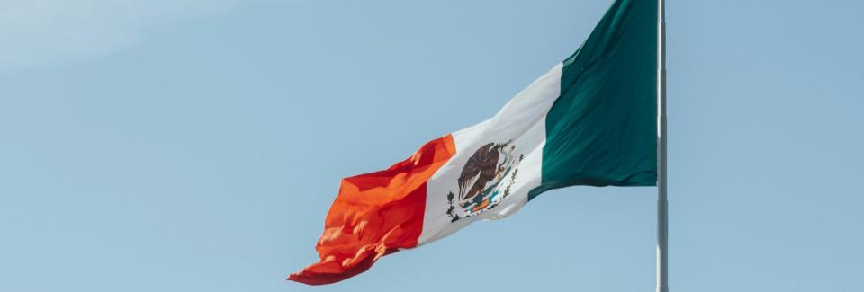 Mexico Flag