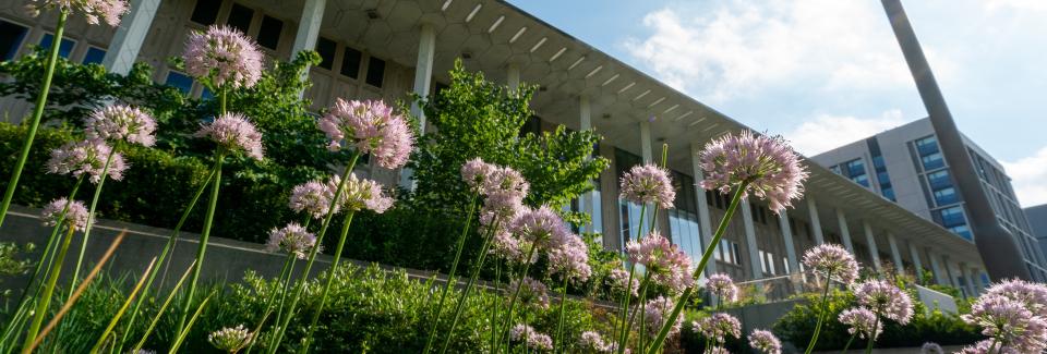 Keller center with flowers in summer