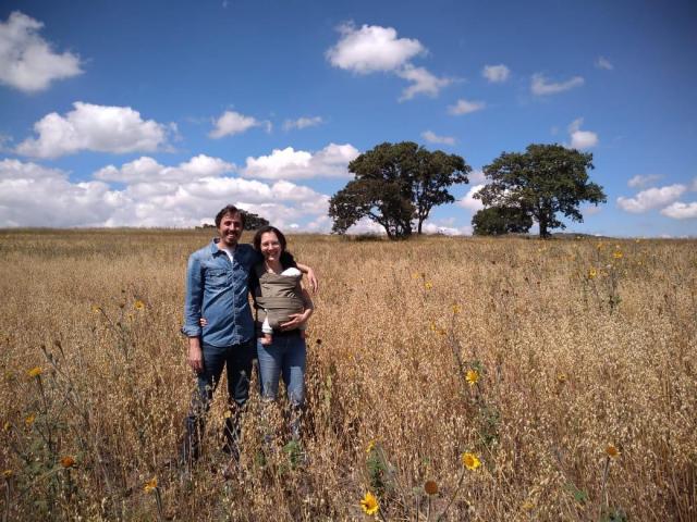 The couple standing in a field