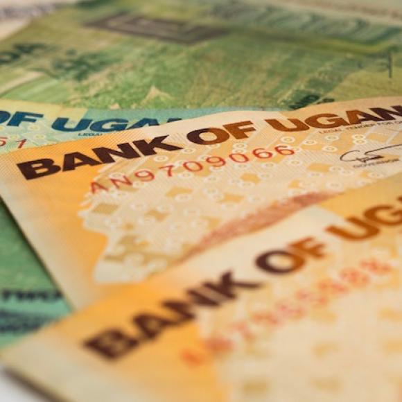 A photo of Ugandan bank notes.
