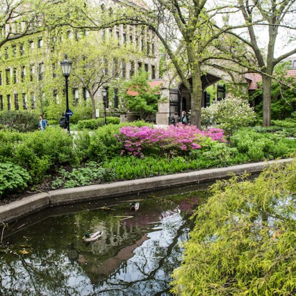 A photo of the Quad.