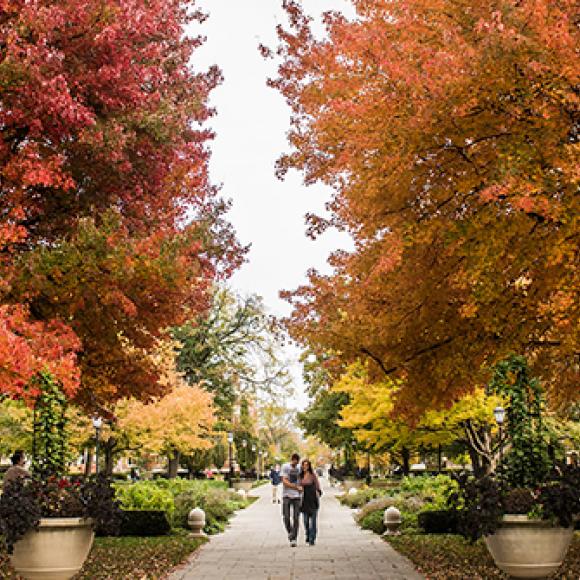 UChicago Campus in Fall