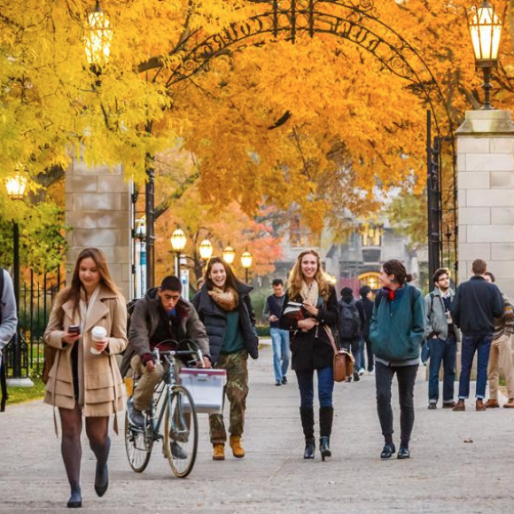 Students walking through campus underneath autumn trees