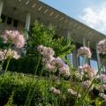 Keller Center with flowers